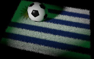 星空体育平台安全-世界杯预选赛中国队晋级 球员发挥稳定，世界杯预选赛中国队的成绩  第3张